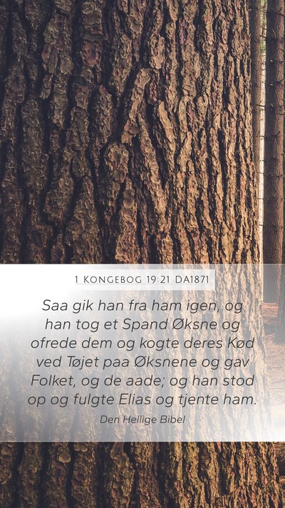 1 Kongebog 19:21 DA1871 Bible Verse Image