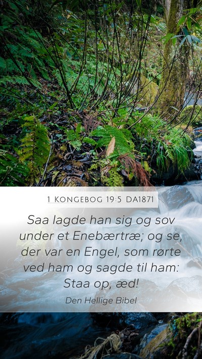 1 Kongebog 19:5 DA1871 Bible Verse Image