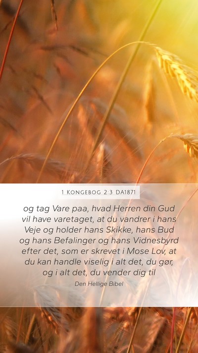 1 Kongebog 2:3 DA1871 Bible Verse Image