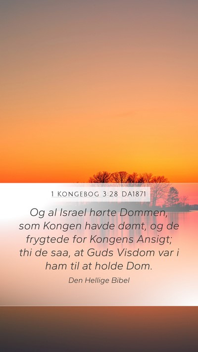 1 Kongebog 3:28 DA1871 Bible Verse Image