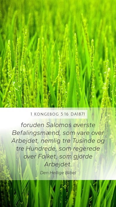 1 Kongebog 5:16 DA1871 Bible Verse Image