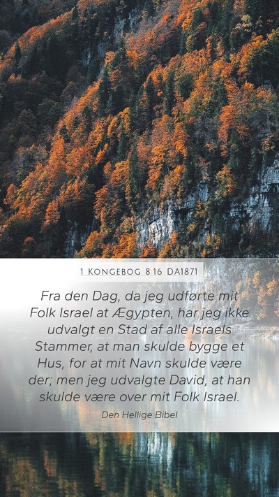1 Kongebog 8:16 DA1871 Bible Verse Image