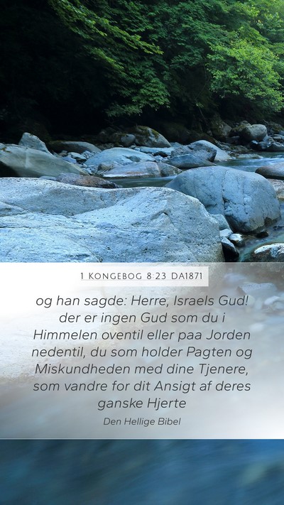 1 Kongebog 8:23 DA1871 Bible Verse Image