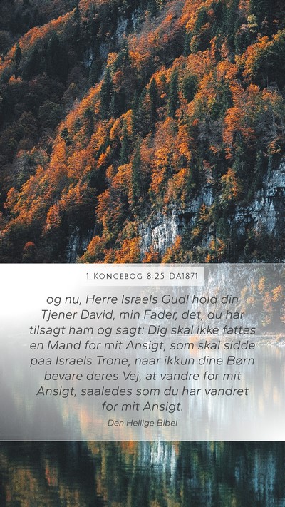 1 Kongebog 8:25 DA1871 Bible Verse Image