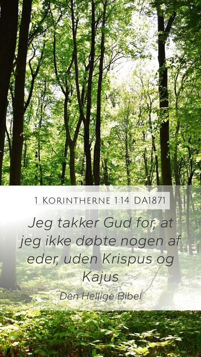 1 Korintherne 1:14 DA1871 Bible Verse Image