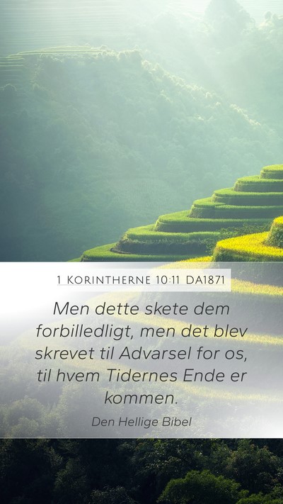 1 Korintherne 10:11 DA1871 Bible Verse Image