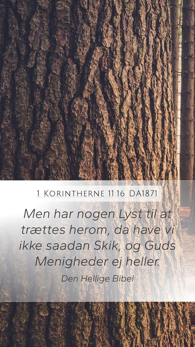 1 Korintherne 11:16 DA1871 Bible Verse Image