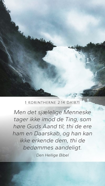 1 Korintherne 2:14 DA1871 Bible Verse Image