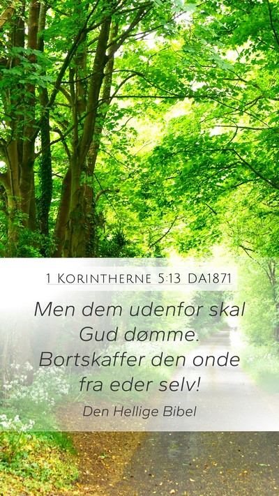 1 Korintherne 5:13 DA1871 Bible Verse Image