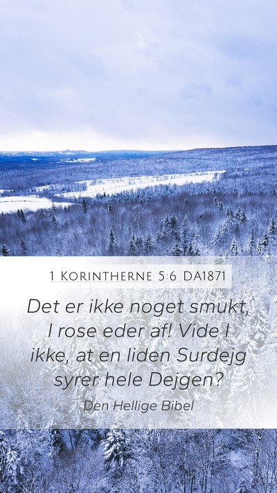 1 Korintherne 5:6 DA1871 Bible Verse Image