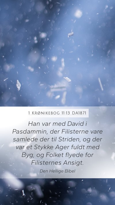 1 Krønikebog 11:13 DA1871 Bible Verse Image