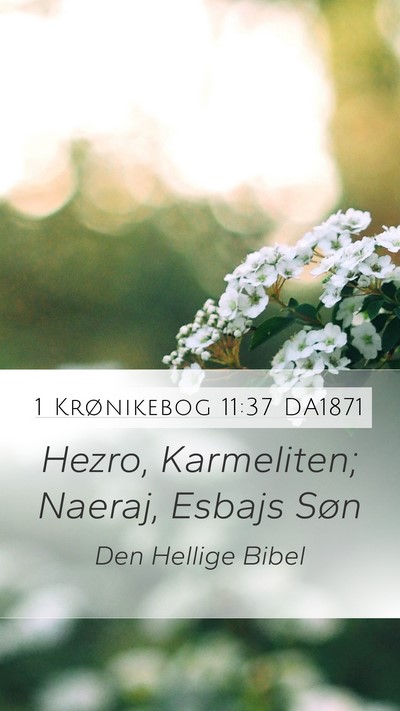 1 Krønikebog 11:37 DA1871 Bible Verse Image