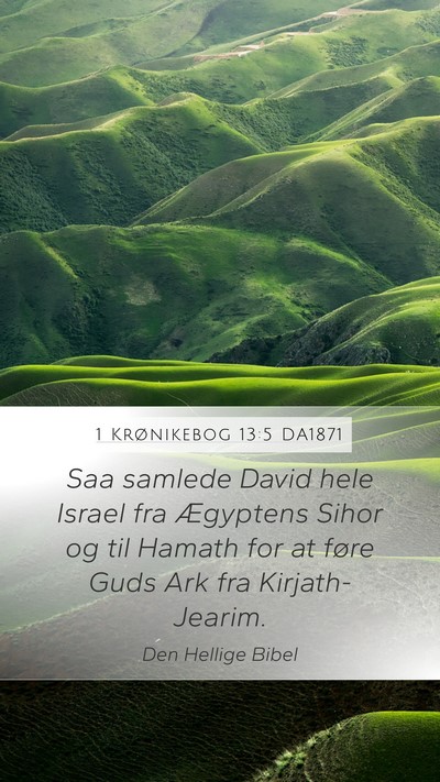 1 Krønikebog 13:5 DA1871 Bible Verse Image