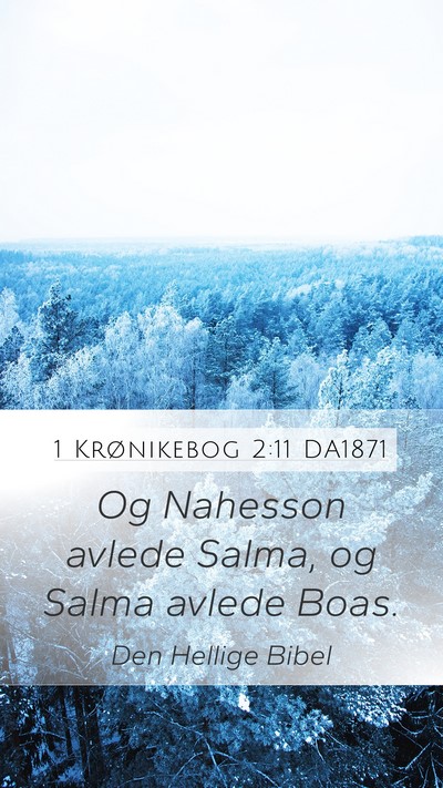 1 Krønikebog 2:11 DA1871 Bible Verse Image