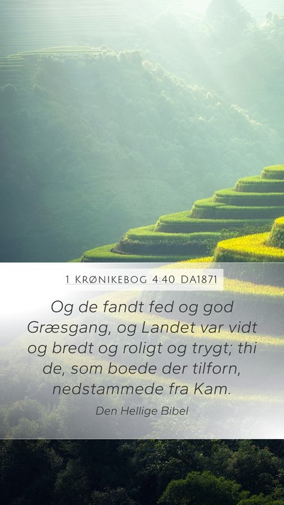 1 Krønikebog 4:40 DA1871 Mobile Phone Wallpaper - Og de fandt fed og god Græsgang, og Landet var - Mobile Bible Verse Wallpaper