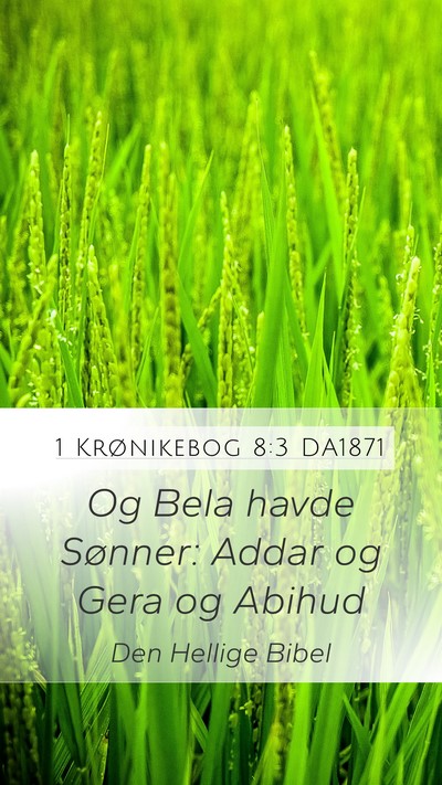 1 Krønikebog 8:3 DA1871 Bible Verse Image