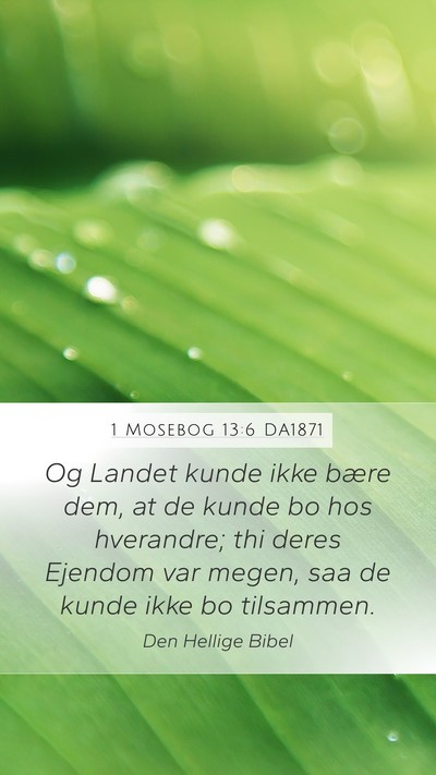 1 Mosebog 13:6 DA1871 Bible Verse Image