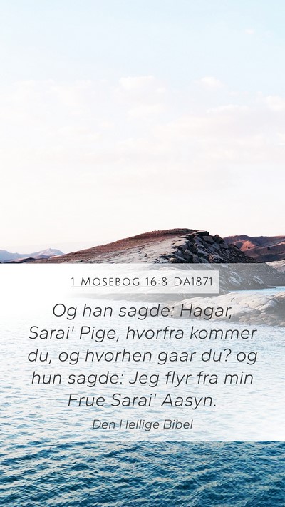 1 Mosebog 16:8 DA1871 Bible Verse Image