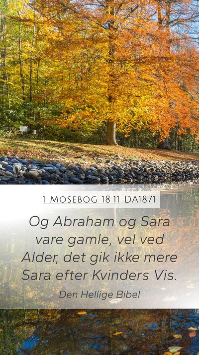 1 Mosebog 18:11 DA1871 Bible Verse Image
