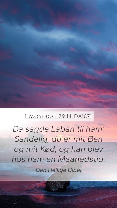 1 Mosebog 29:14 DA1871 Bible Verse Image