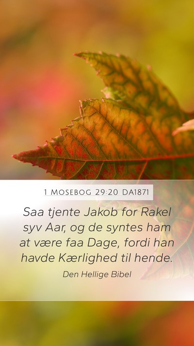 1 Mosebog 29:20 DA1871 Bible Verse Image