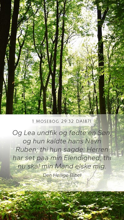 1 Mosebog 29:32 DA1871 Bible Verse Image