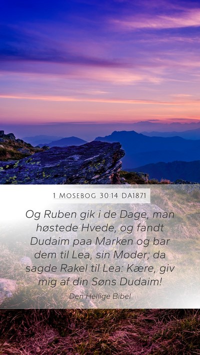 1 Mosebog 30:14 DA1871 Mobile Phone Wallpaper - Og Ruben gik i de Dage, man høstede Hvede, og - Mobile Bible Verse Wallpaper