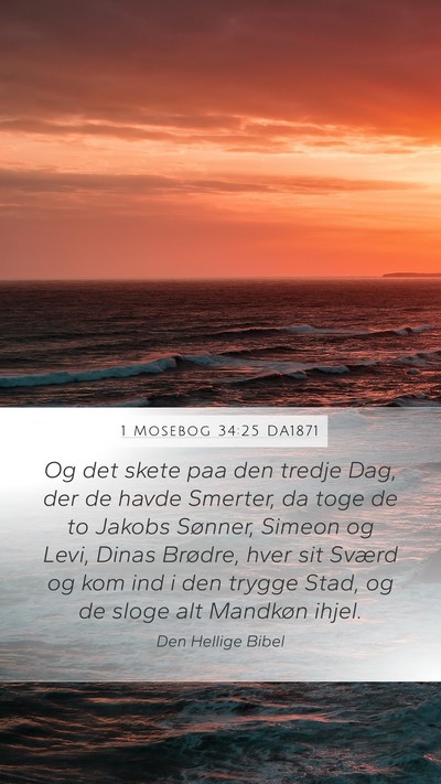 1 Mosebog 34:25 DA1871 Bible Verse Image