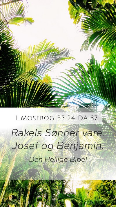 1 Mosebog 35:24 DA1871 Bible Verse Image