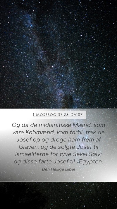1 Mosebog 37:28 DA1871 Bible Verse Image