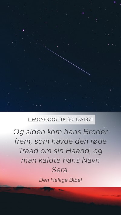 1 Mosebog 38:30 DA1871 Bible Verse Image