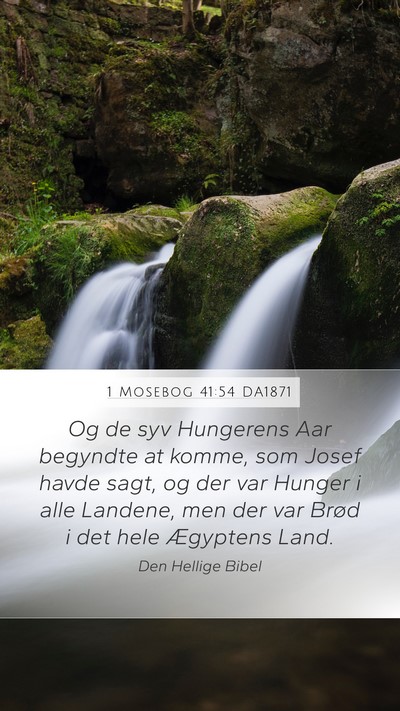 1 Mosebog 41:54 DA1871 Bible Verse Image