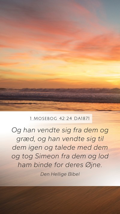 1 Mosebog 42:24 DA1871 Bible Verse Image