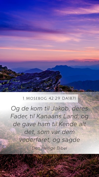1 Mosebog 42:29 DA1871 Bible Verse Image