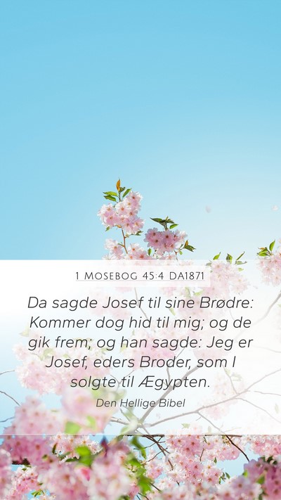 1 Mosebog 45:4 DA1871 Bible Verse Image