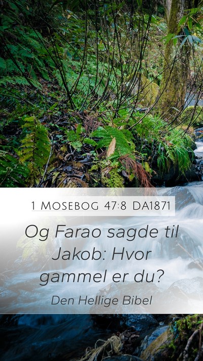 1 Mosebog 47:8 DA1871 Mobile Phone Wallpaper - Og Farao sagde til Jakob: Hvor gammel er - Mobile Bible Verse Wallpaper