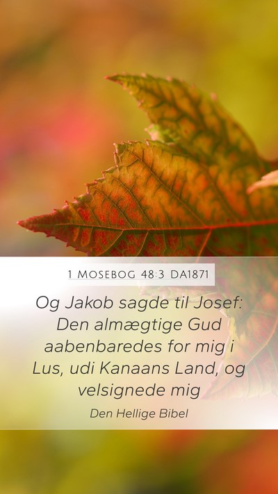 1 Mosebog 48:3 DA1871 Bible Verse Image