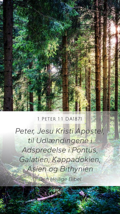 1 Peter 1:1 DA1871 Bible Verse Image