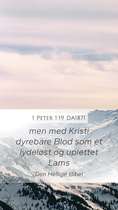 1 Peter 1:19 DA1871 Bible Verse Image