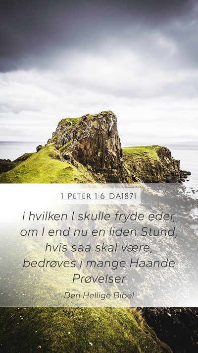 1 Peter 1:6 DA1871 Bible Verse Image