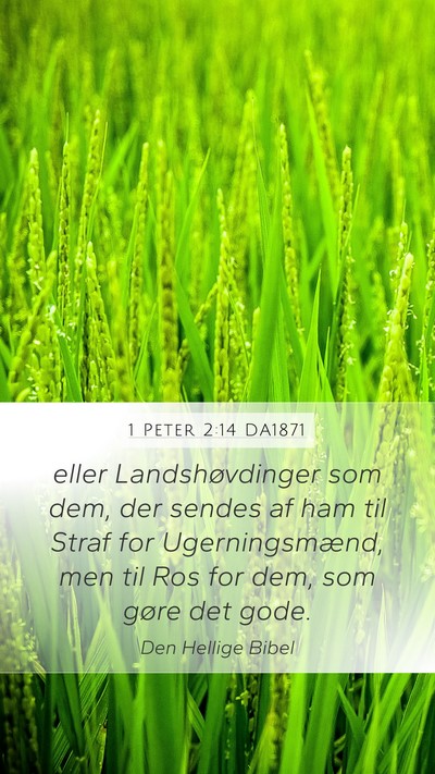1 Peter 2:14 DA1871 Bible Verse Image