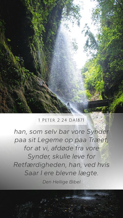 1 Peter 2:24 DA1871 Bible Verse Image