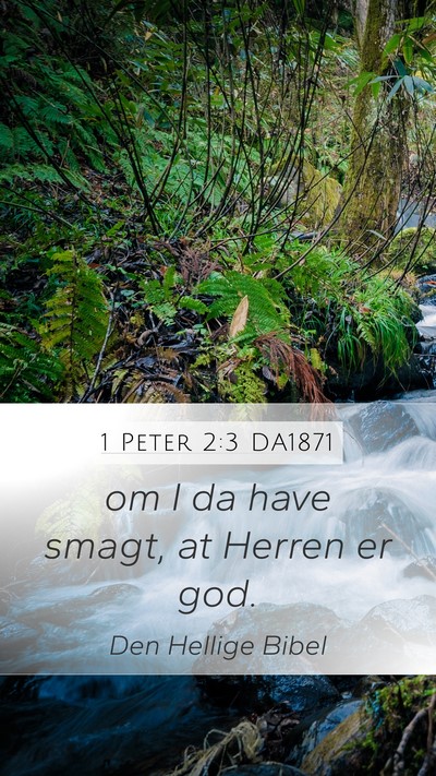 1 Peter 2:3 DA1871 Mobile Phone Wallpaper - om I da have smagt, at Herren er - Mobile Bible Verse Wallpaper