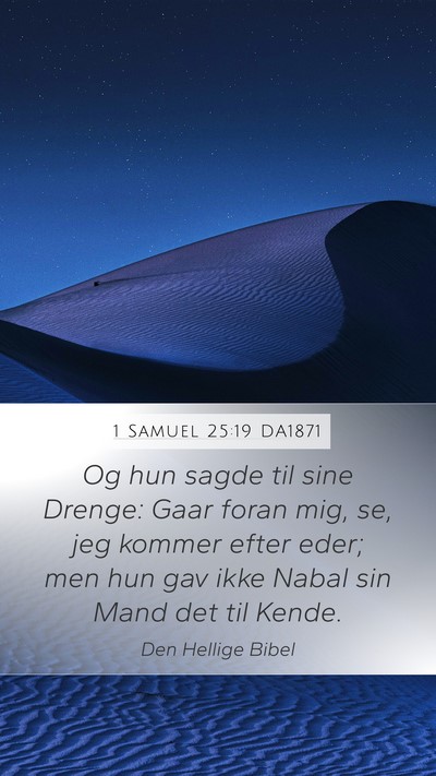 1 Samuel 25:19 DA1871 Bible Verse Image