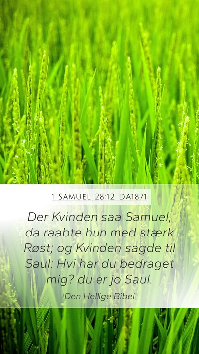 1 Samuel 28:12 DA1871 Bible Verse Image