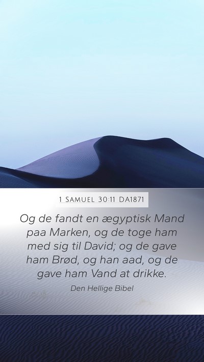 1 Samuel 30:11 DA1871 Bible Verse Image