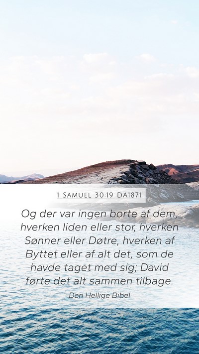 1 Samuel 30:19 DA1871 Bible Verse Image