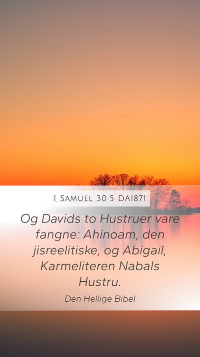 1 Samuel 30:5 DA1871 Bible Verse Image