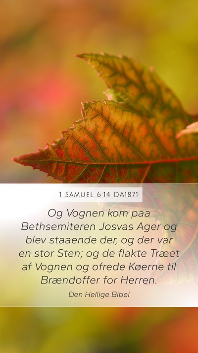 1 Samuel 6:14 DA1871 Bible Verse Image
