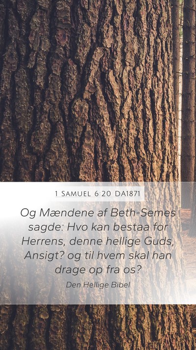 1 Samuel 6:20 DA1871 Bible Verse Image